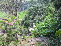 CHÙA ĐỘNG HOA SƠN – NINH BÌNH