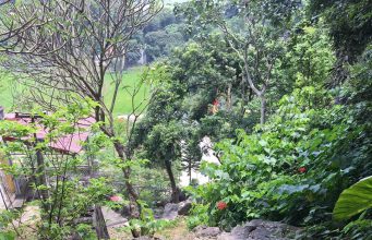 CHÙA ĐỘNG HOA SƠN – NINH BÌNH