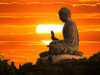 Thăm, Chúc mừng nhân dịp Đại lễ Phật Đản